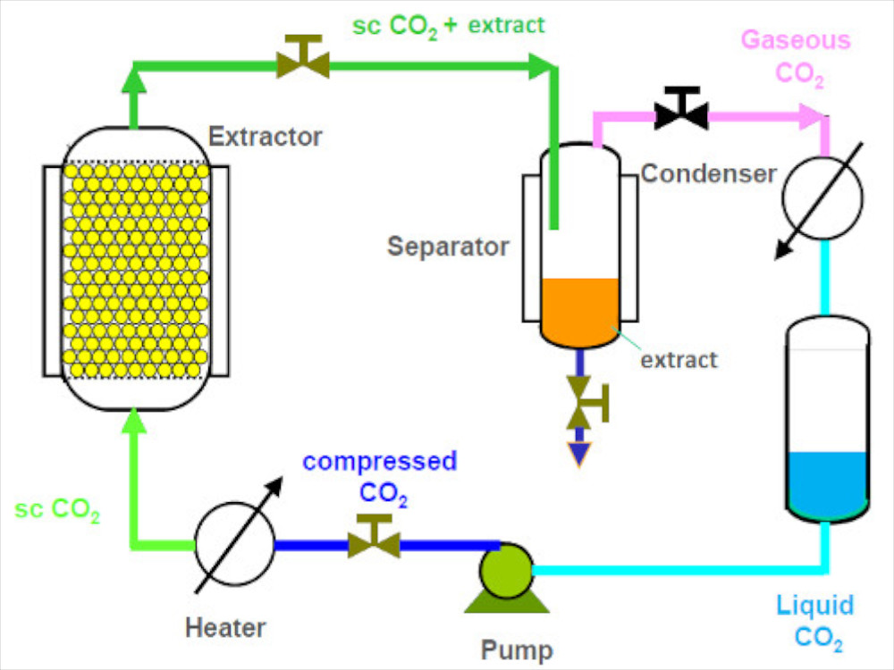 supercritical CO2 extraction layout
