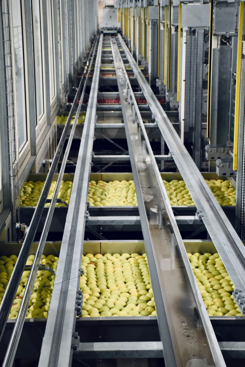 agro-alimentaire