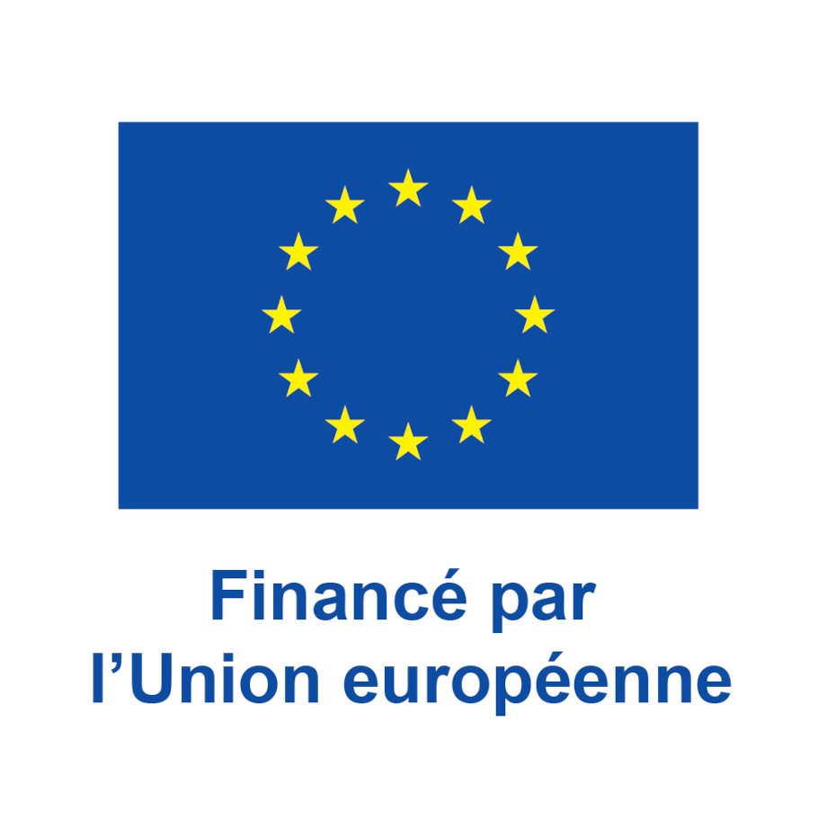 Logo UE